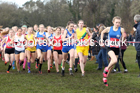 Junior girls, 2020 New Balance English Schools Champs., Sefton Park, Liverpool. Photo: David T. Hewitson/Sports for All Pics
